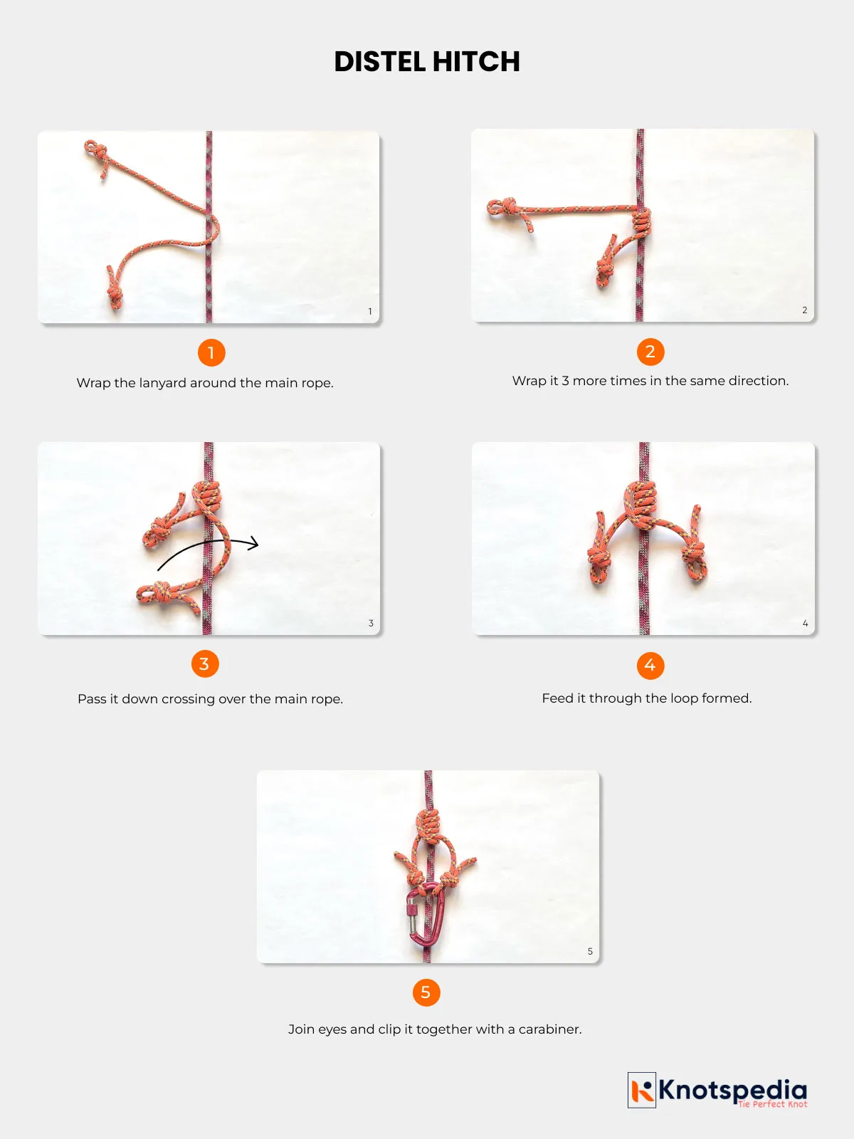 distel-hitch-knot-step-by-step distel hitch knot step by step