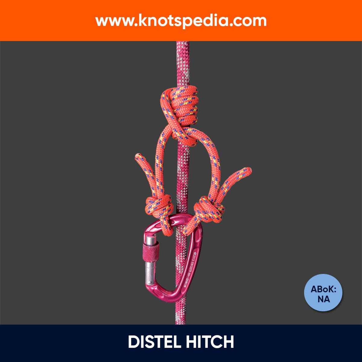 distel-hitch