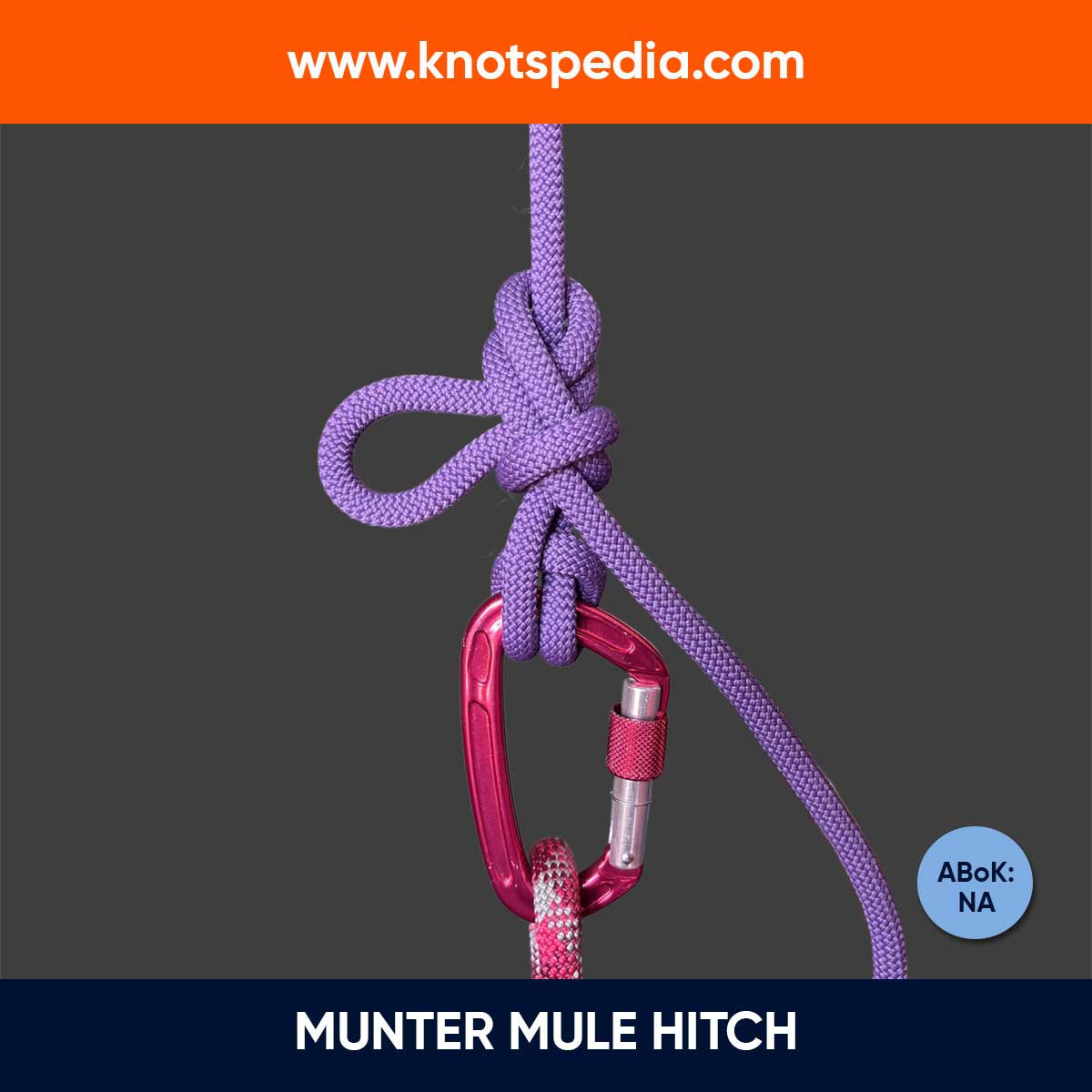 munter-mule-hitch