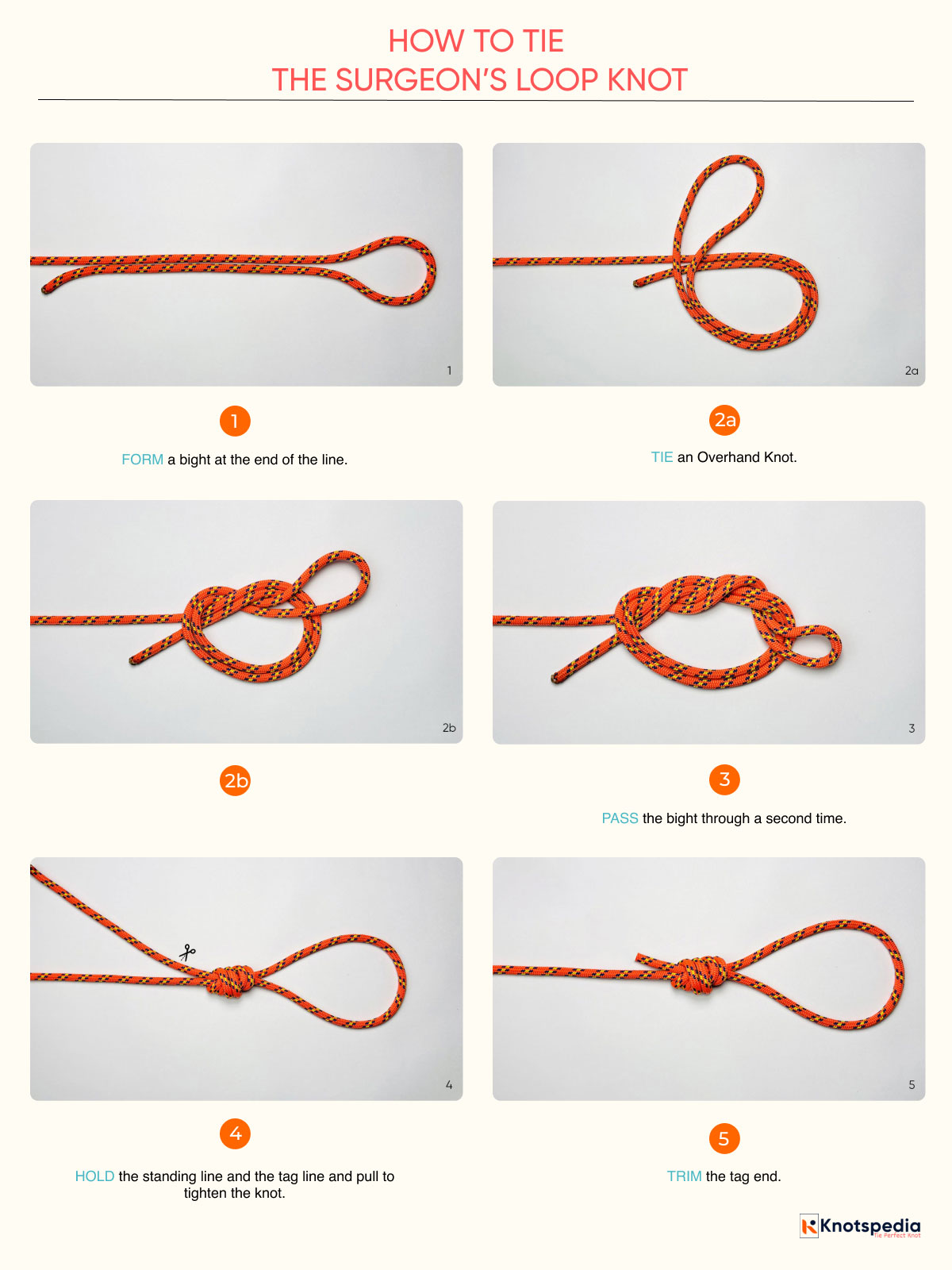 SURGEON'S-LOOP-KNOT-STEP-BY-STEP