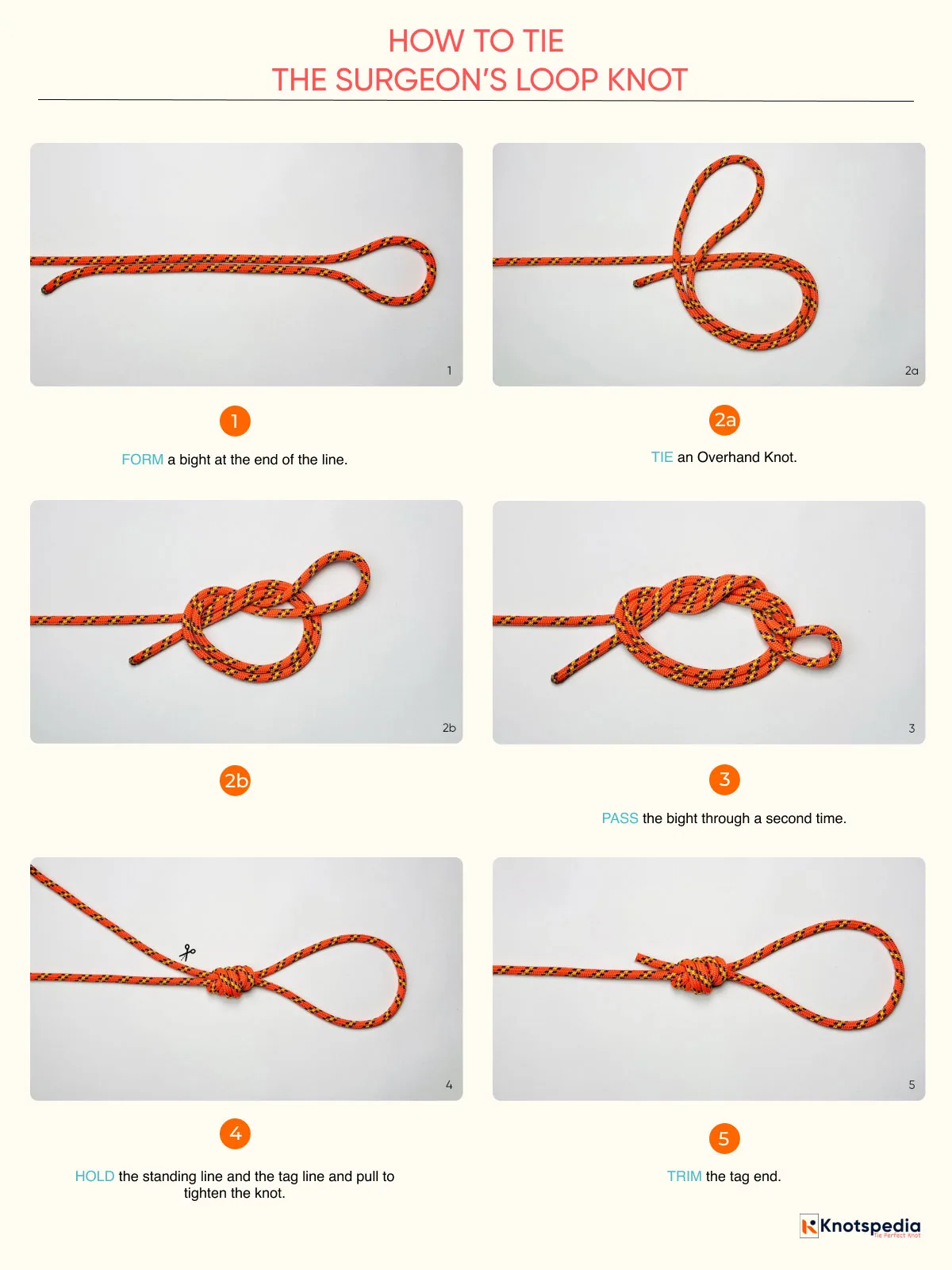 SURGEON'S-LOOP-KNOT-STEP-BY-STEP SURGEON'S-LOOP-KNOT-STEP-BY-STEP
