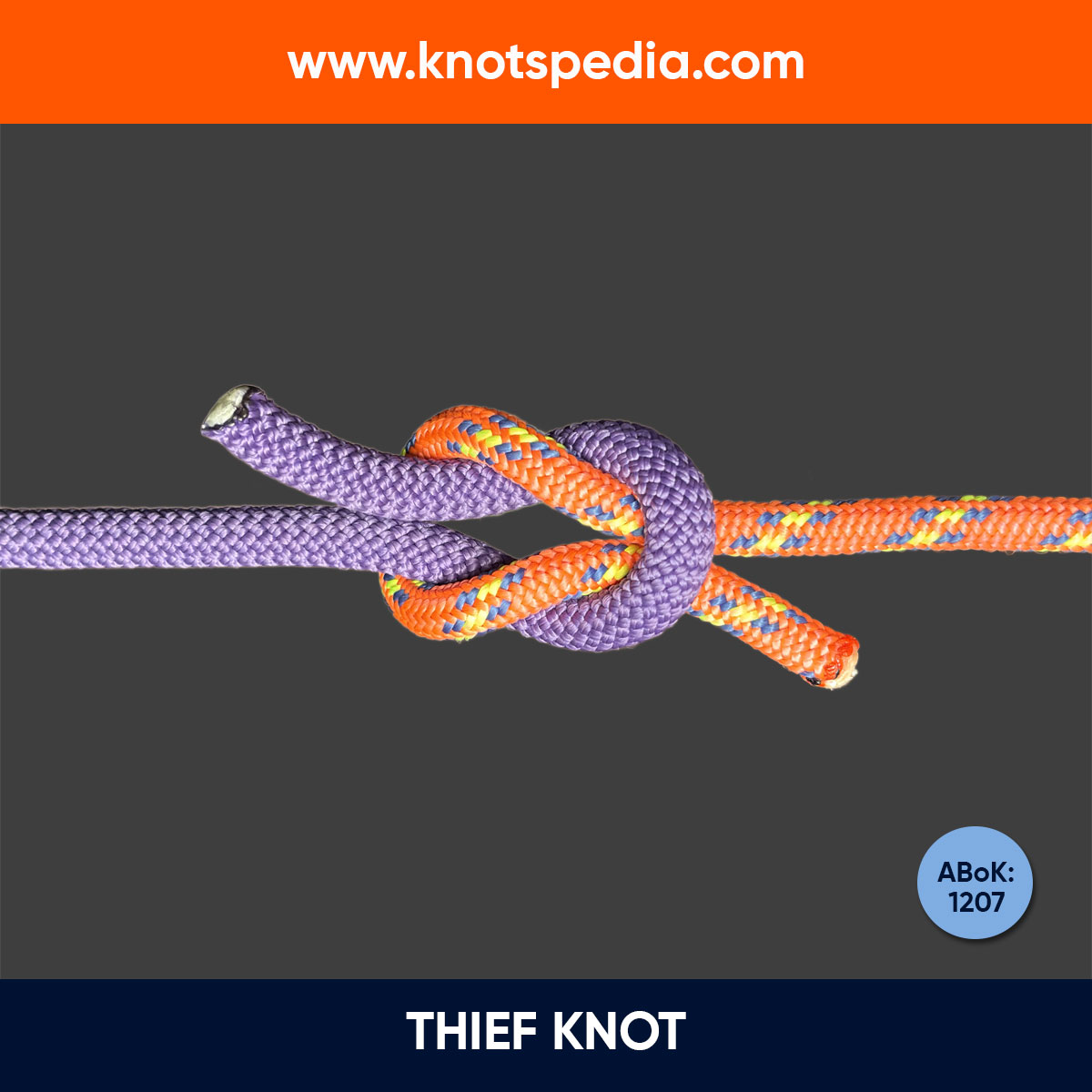 THIEF-KNOT