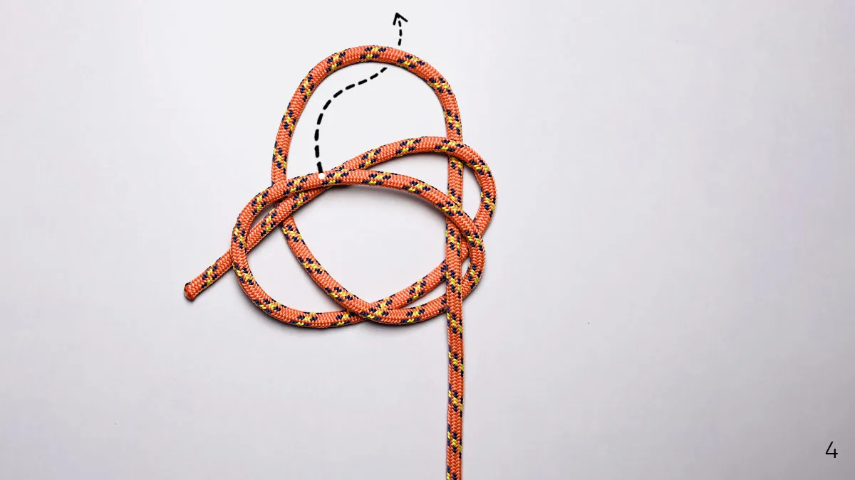 perfection loop knot step 4
