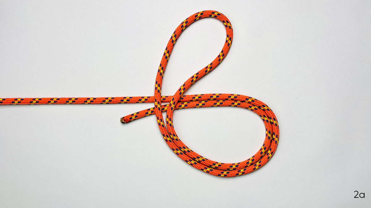 surgeon's-loop-knot-step-2a
