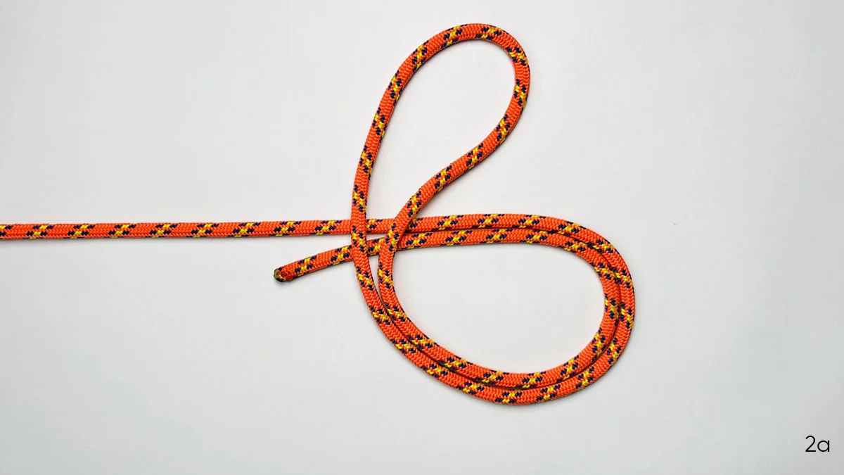 surgeon's-loop-knot-step-2a