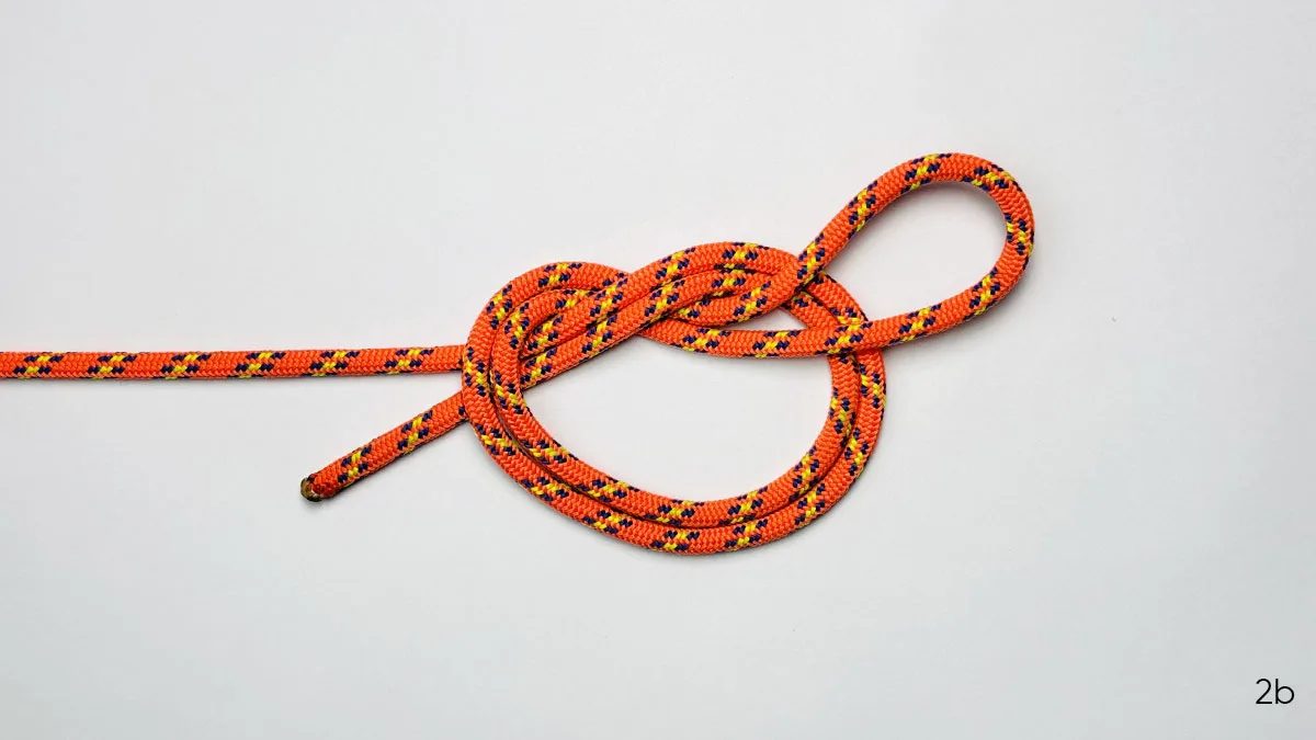 surgeon's-loop-knot-step-2b