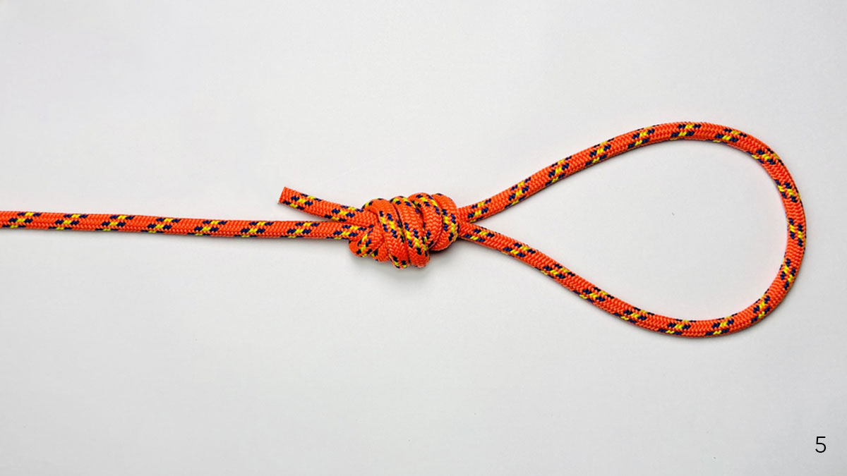 surgeon's-loop-knot-step-5