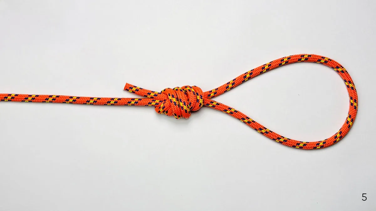 surgeon's-loop-knot-step-5
