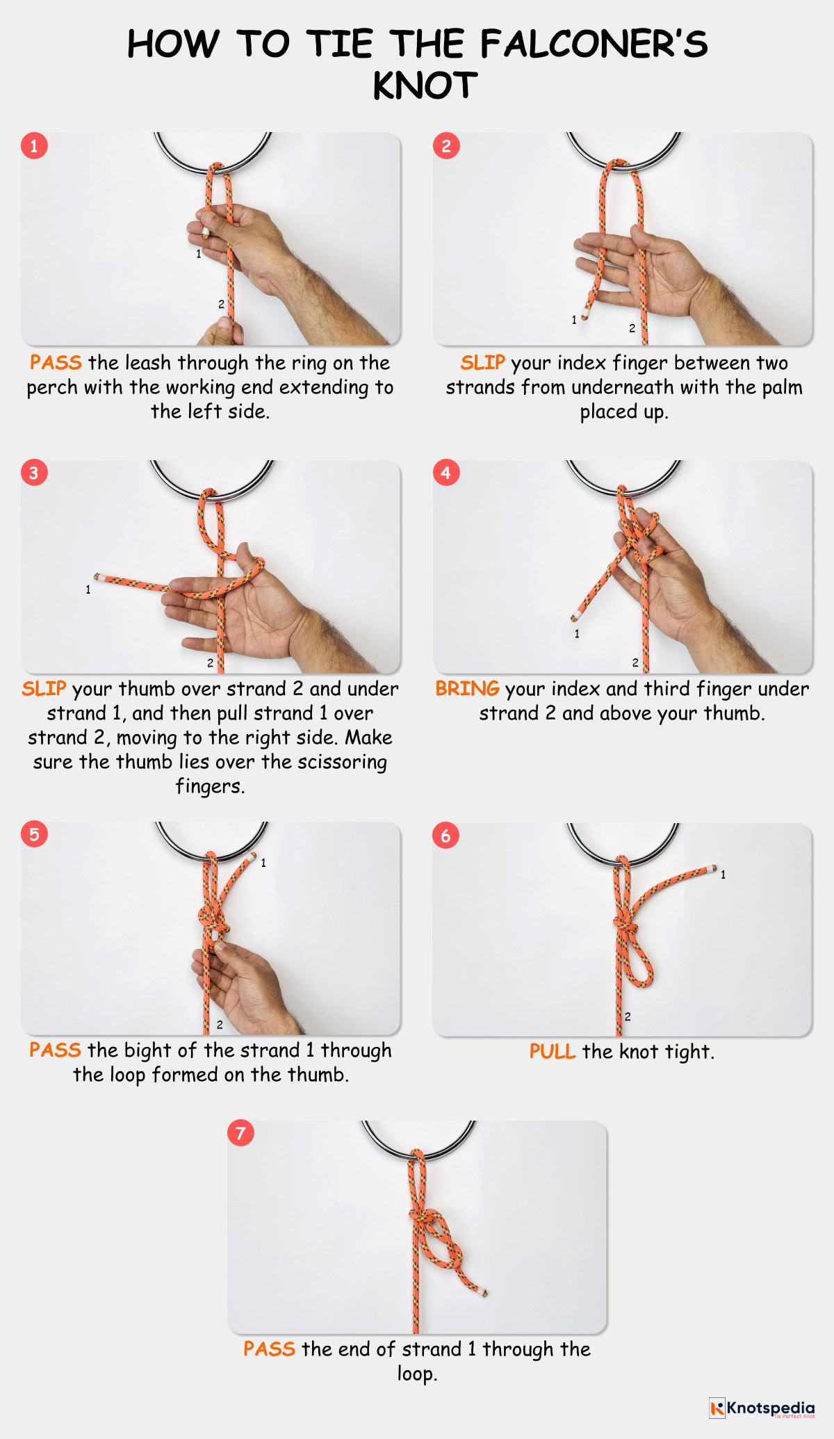 falconers knot diagram how to tie the falconers knot step by step knotspedia