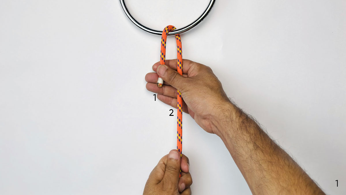 falconer's-knot-step-1