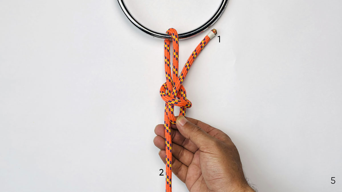 falconer's-knot-step-5