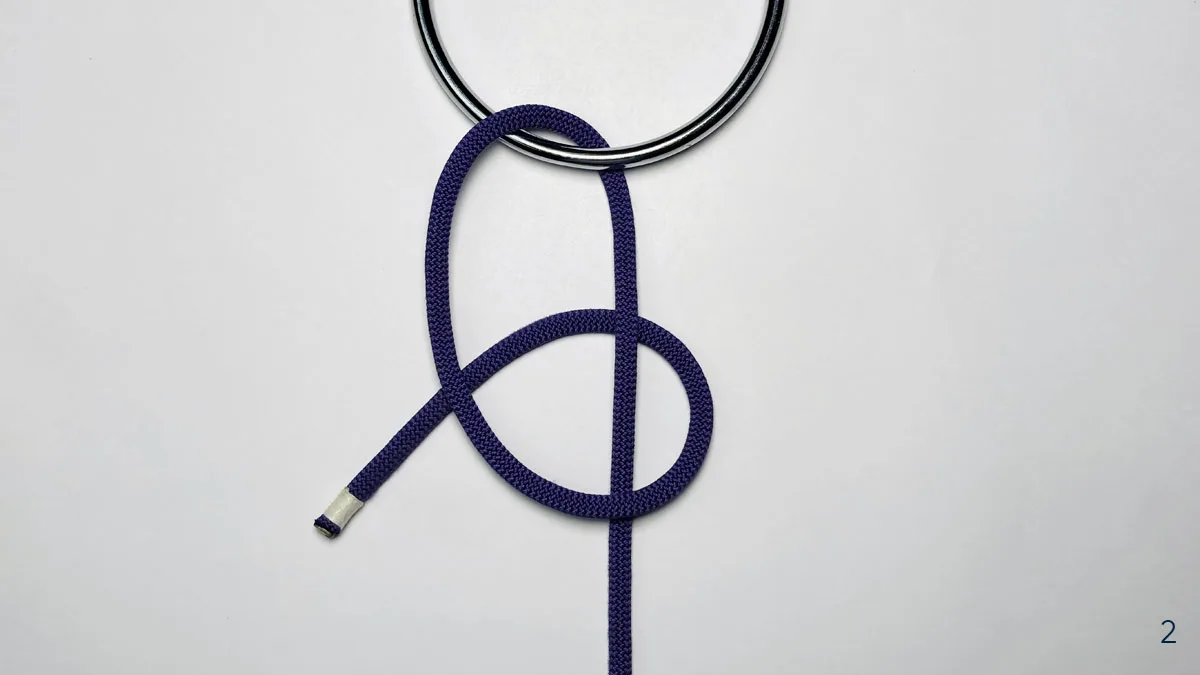 halter hitch step 2