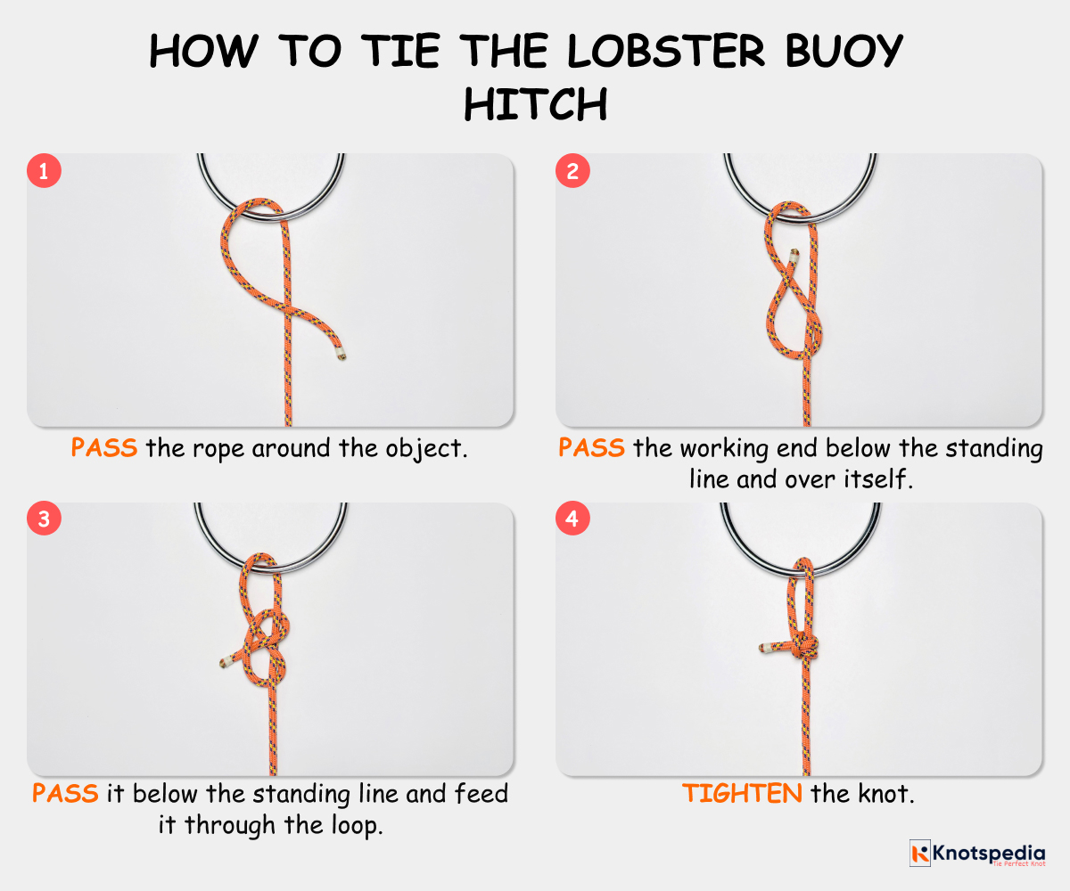 how-to-tie-the-lobster-buoy-hitch-step-by-step-lobster-buoy-diagram-knotspedia how to tie the lobster buoy hitch step by step lobster buoy diagram knotspedia