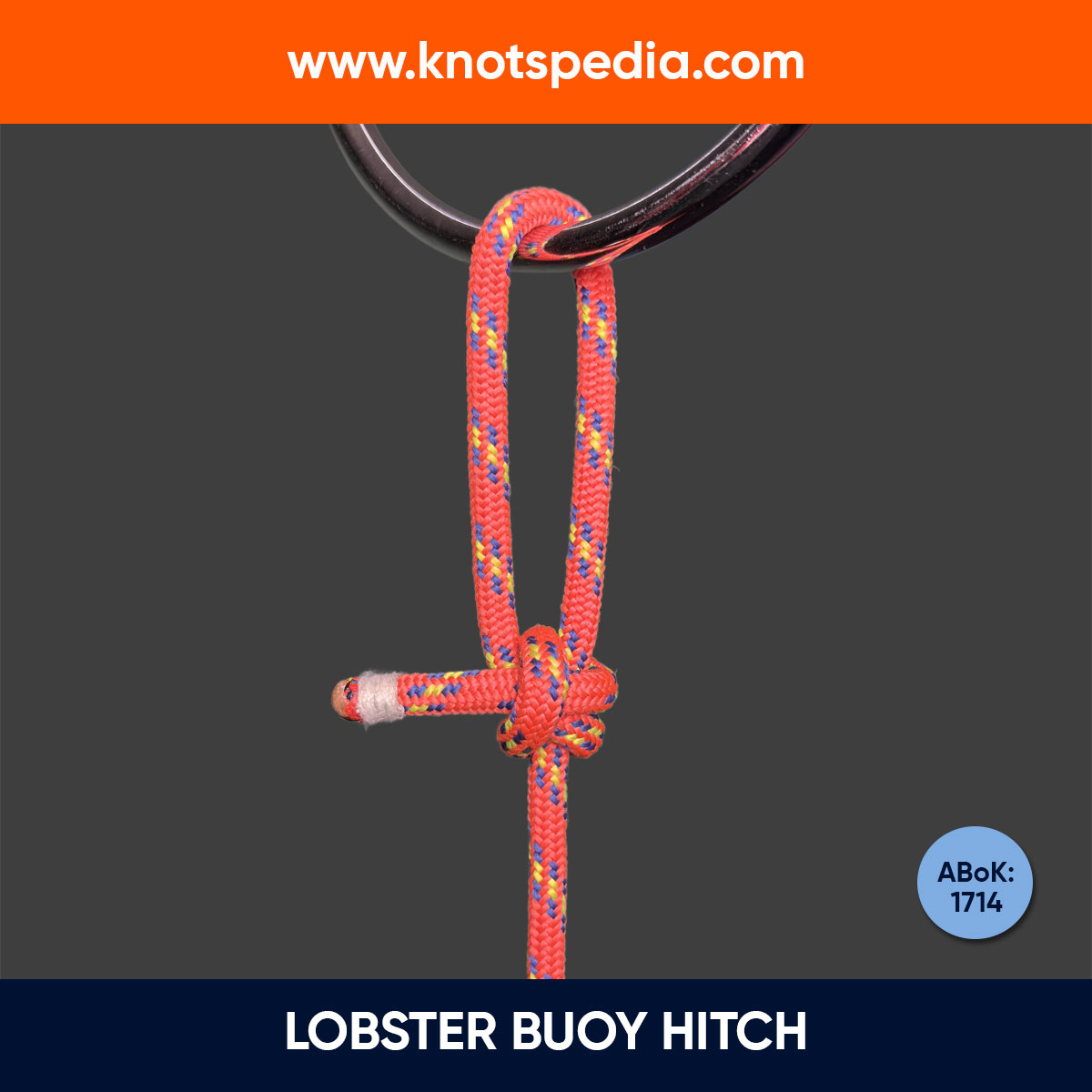 lobster buoy hitch knot diagram