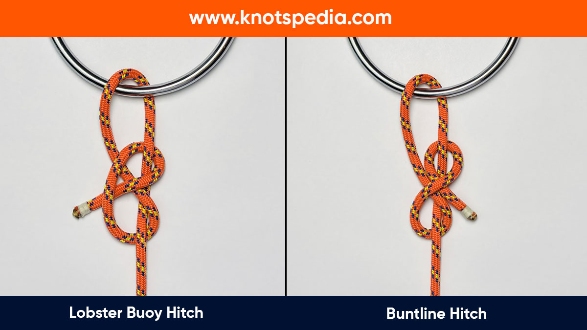 lobster-buoy-hitch-vs-buntline-hitch lobster-buoy-hitch-vs-buntline-hitch