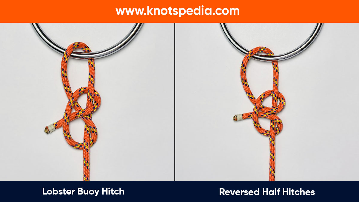 lobster-buoy-hitch-vs-reversed-two-half-hitches lobster-buoy-hitch-vs-reversed-two-half-hitches