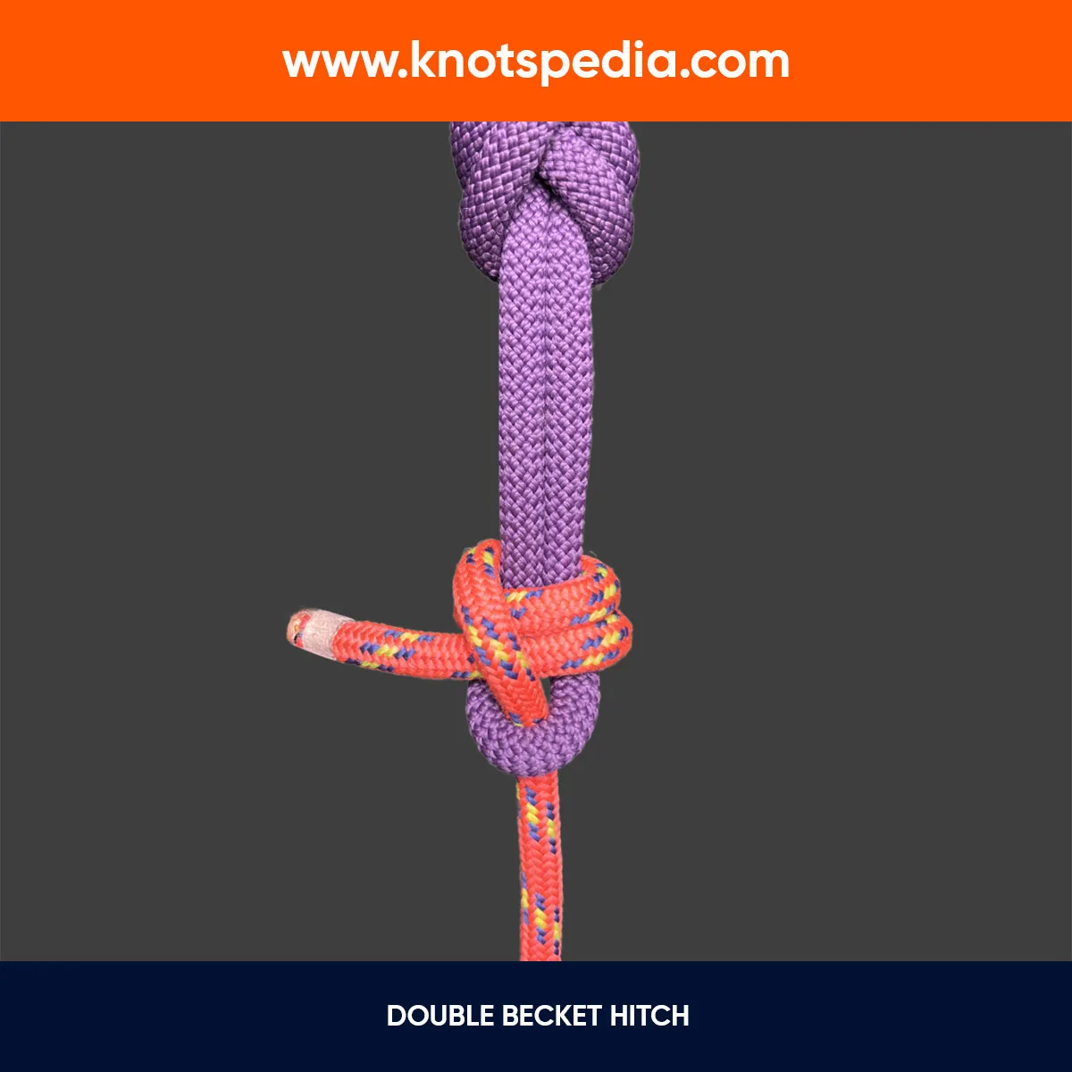 DOUBLE-BECKET-HITCH DOUBLE-BECKET-HITCH