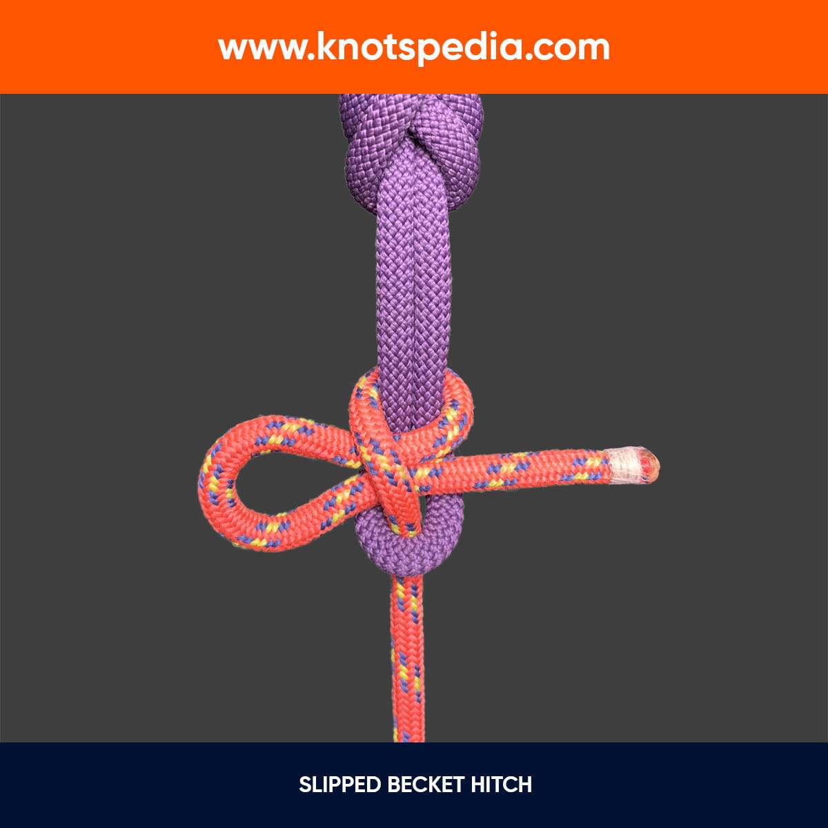 SLIPPED-BECKET-HITCH SLIPPED-BECKET-HITCH