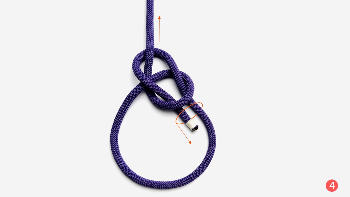 bowline-knot-step-4-how-to-tie-the-bowline-knot-knotspedia