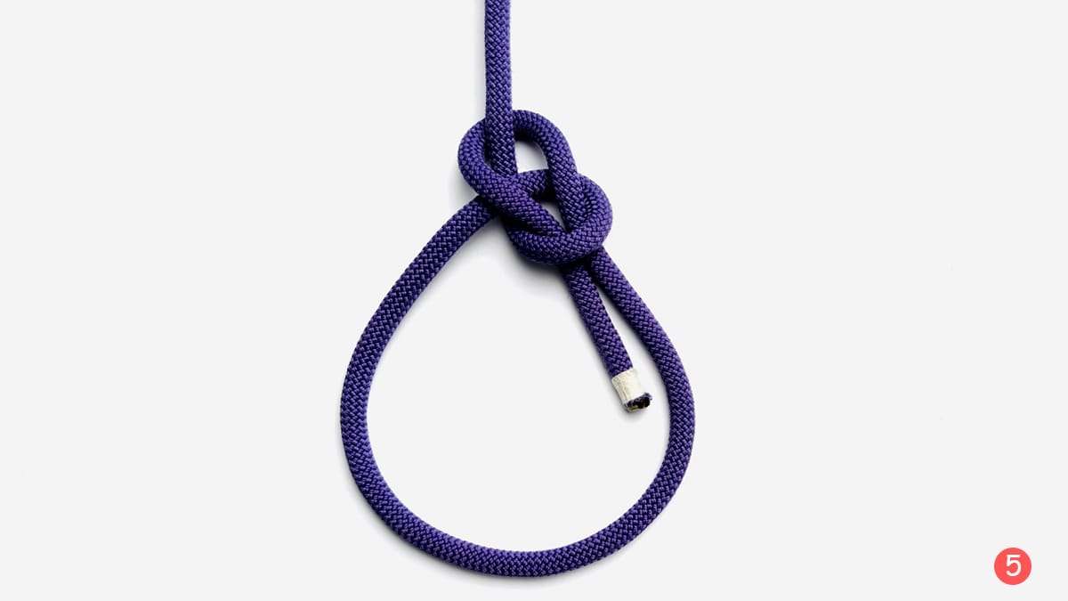 bowline-knot-step-5-how-to-tie-the-bowline-knot-knotspedia