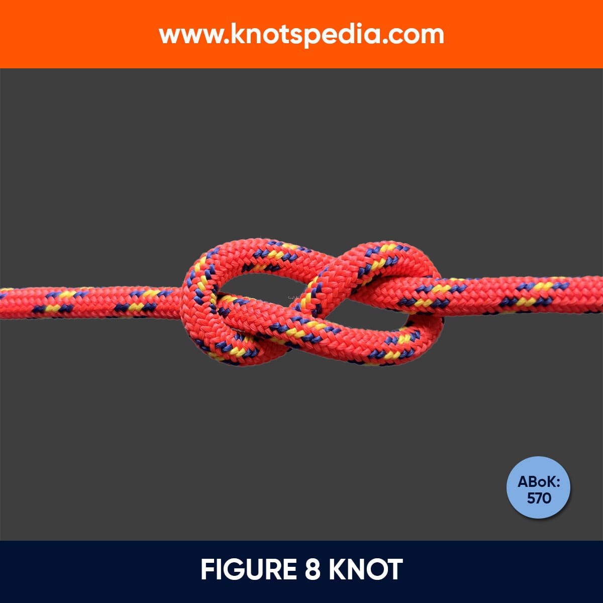 figure 8 knot