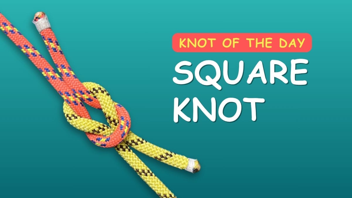 knot of the day square knot how to tie a square knot knotspedia