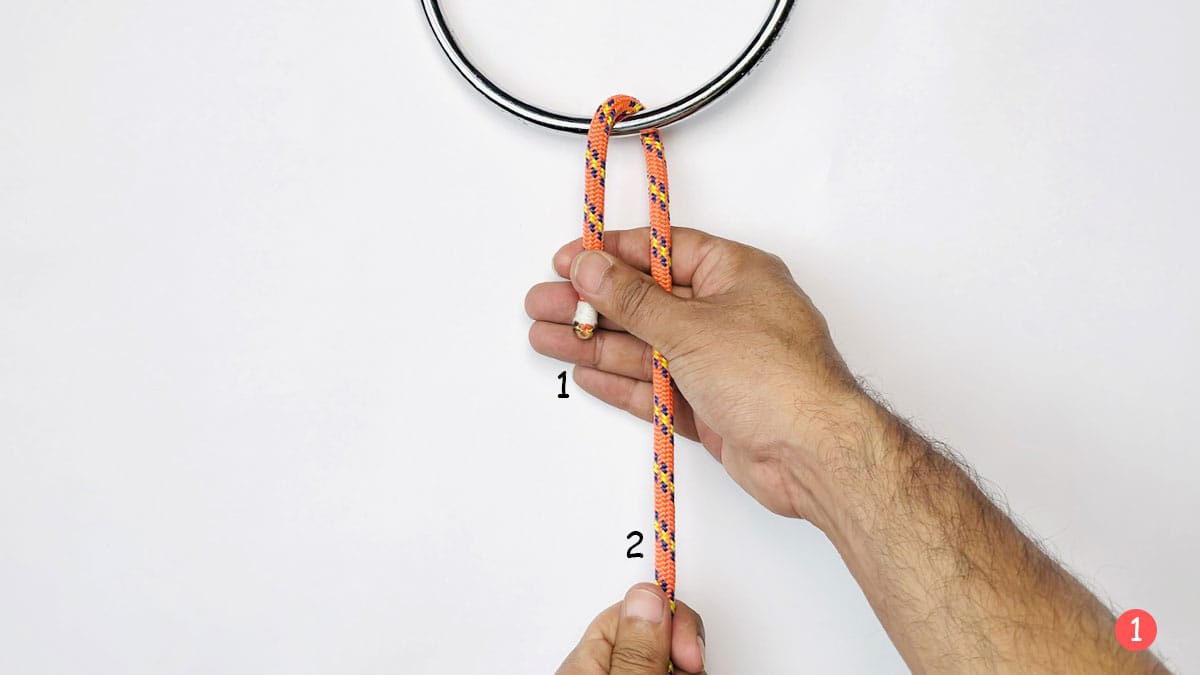 falconer's-knot-step-1-how-to-tie-the-faconer's-knot-knotspedia