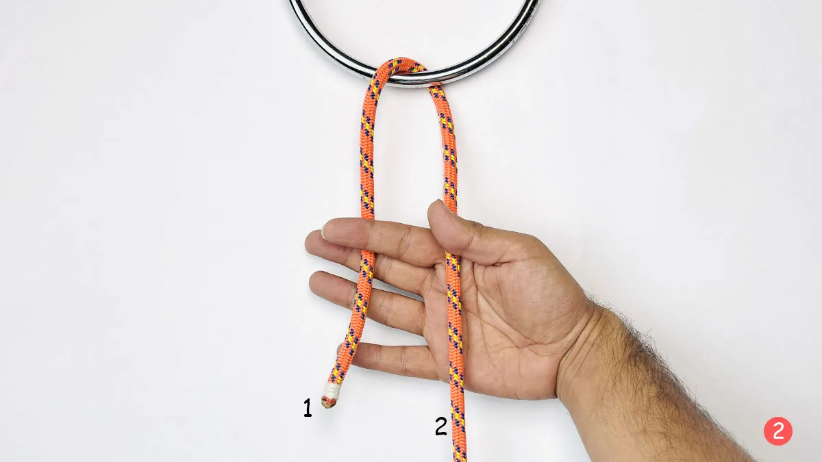 falconer's-knot-step-2-how-to-tie-the-faconer's-knot-knotspedia