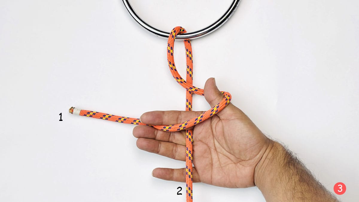 falconer's-knot-step-3-how-to-tie-the-faconer's-knot-knotspedia