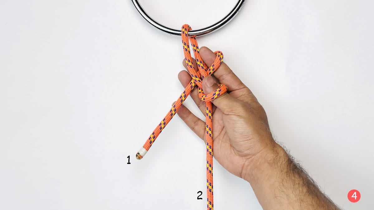 falconer's-knot-step-4-how-to-tie-the-faconer's-knot-knotspedia