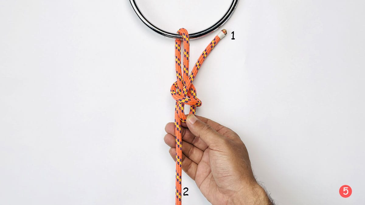 falconer's-knot-step-5-how-to-tie-the-faconer's-knot-knotspedia