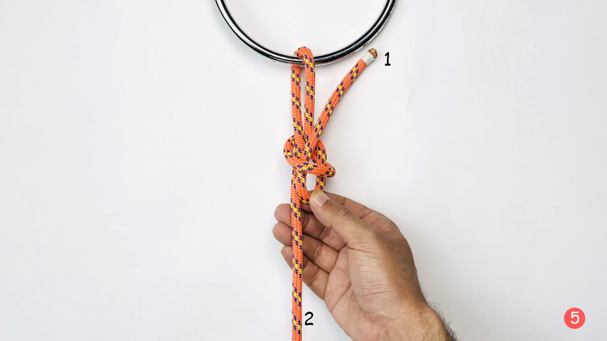 falconer's-knot-step-5-how-to-tie-the-faconer's-knot-knotspedia