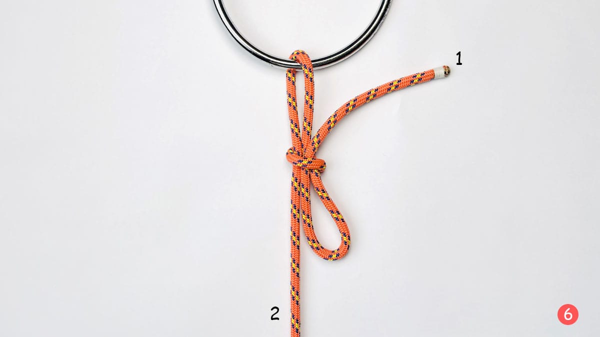 falconer's-knot-step-6-how-to-tie-the-faconer's-knot-knotspedia