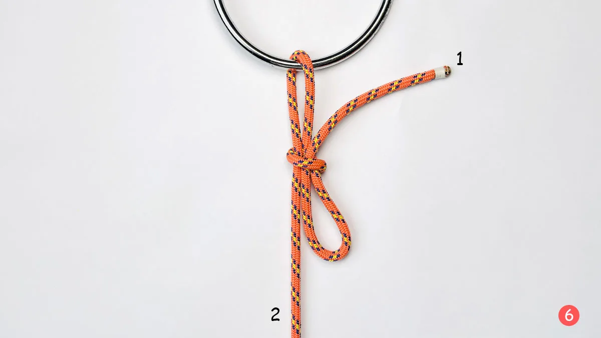 falconer's-knot-step-6-how-to-tie-the-faconer's-knot-knotspedia