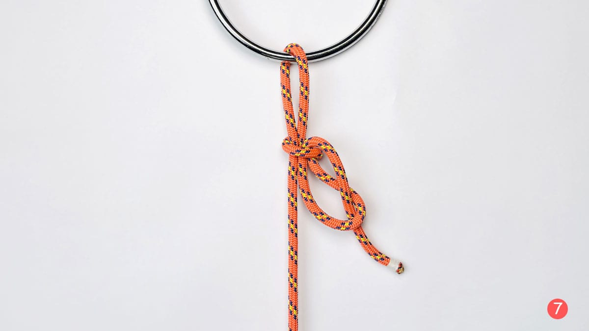 falconer's-knot-step-7-how-to-tie-the-faconer's-knot-knotspedia
