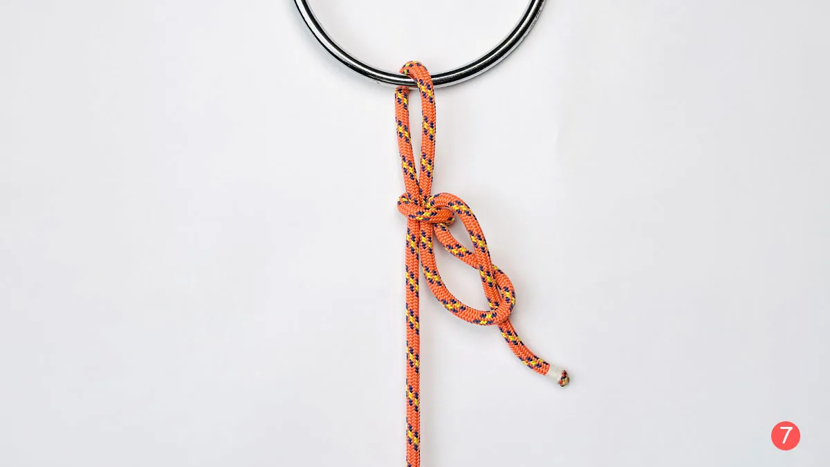 falconer's-knot-step-7-how-to-tie-the-faconer's-knot-knotspedia