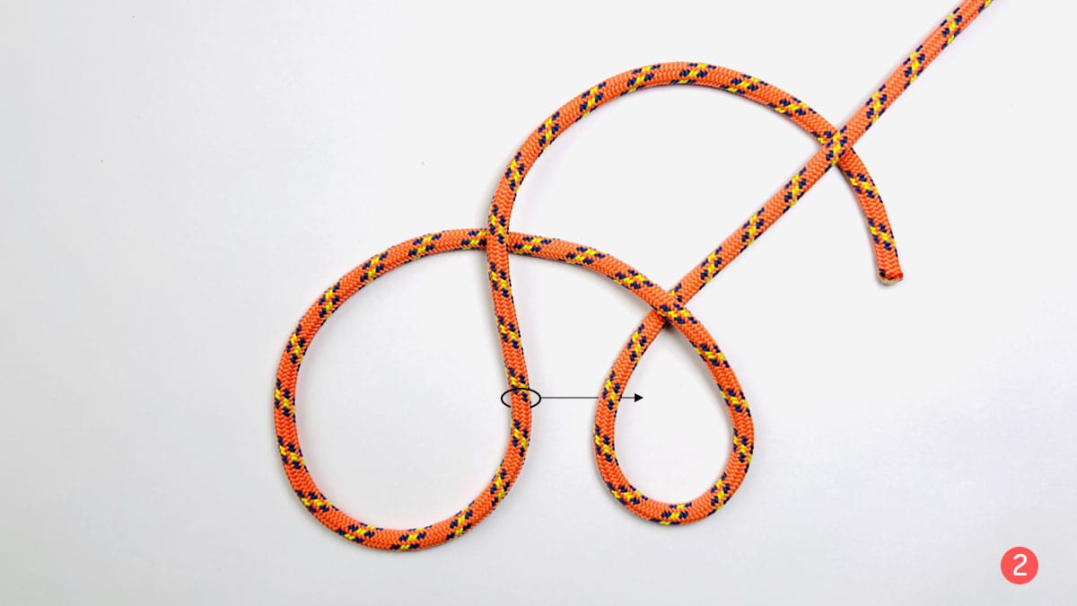lanyard-knot-or-diamond-knot-step-2-how-to-tie-a-lanyard-knot-knotspedia