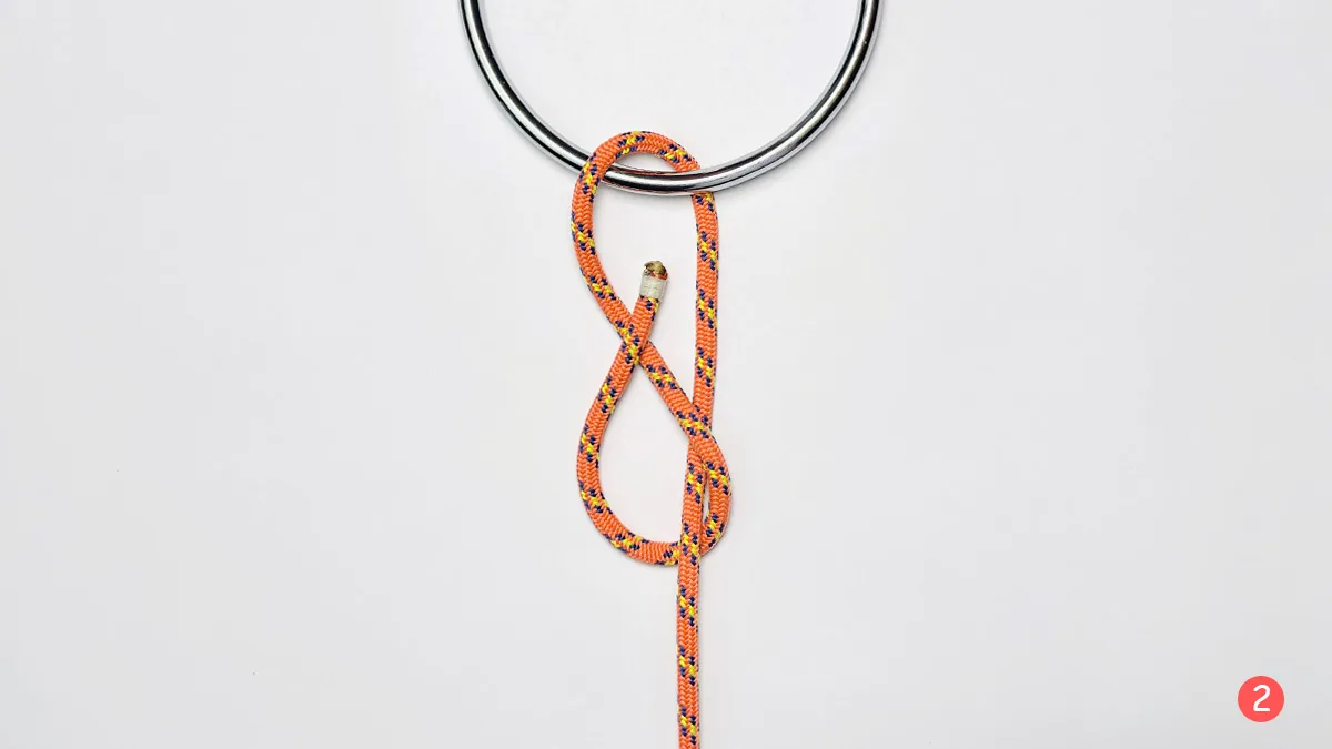 lobster-buoy-hitch-step-2-how-to-tie-a-lobster-buoy--hitch-step-by-step-knotspedia