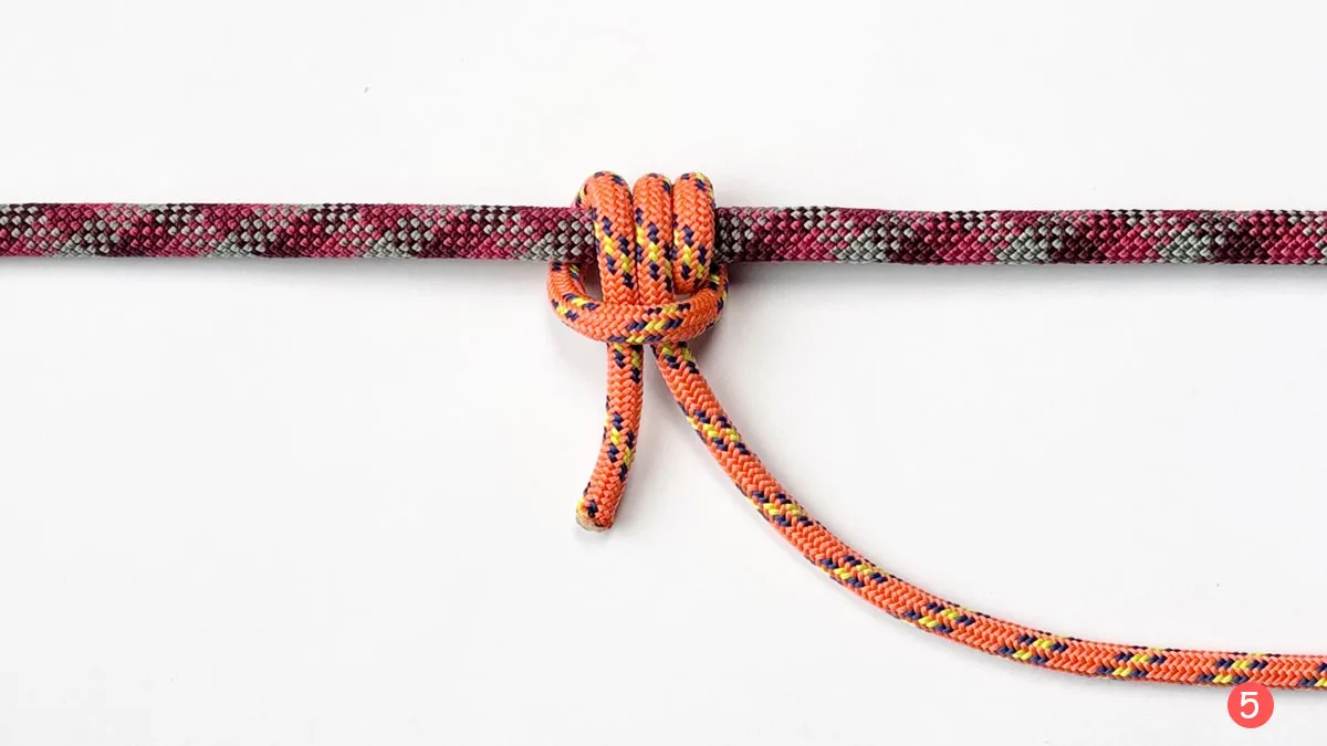 magnus-hitch-step-5-how-to-tie-a-magnus-hitch-knotspedia
