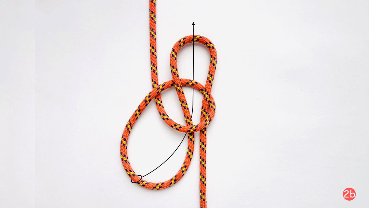 span-loop-step-2b-how-to-tie-a-span-loop-knot-knotspedia