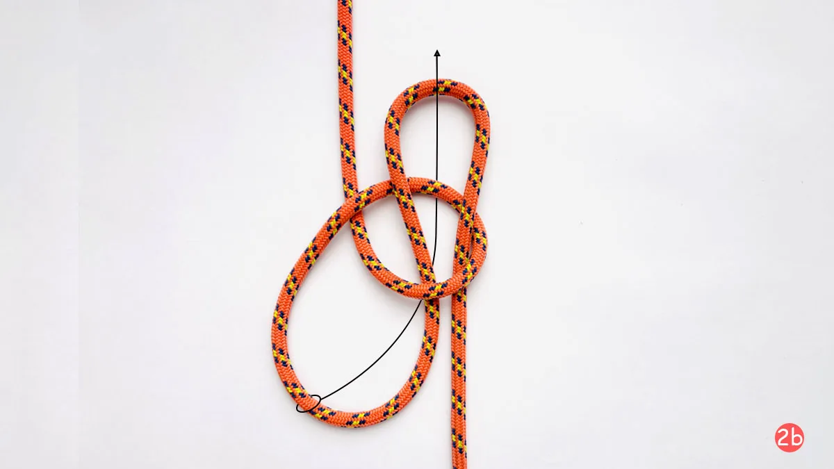 span-loop-step-2b-how-to-tie-a-span-loop-knot-knotspedia
