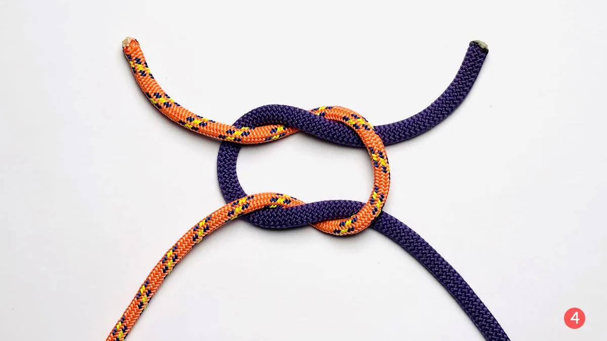 square-knot-step-4-how-to-tie-a-square-knot-knotspedia