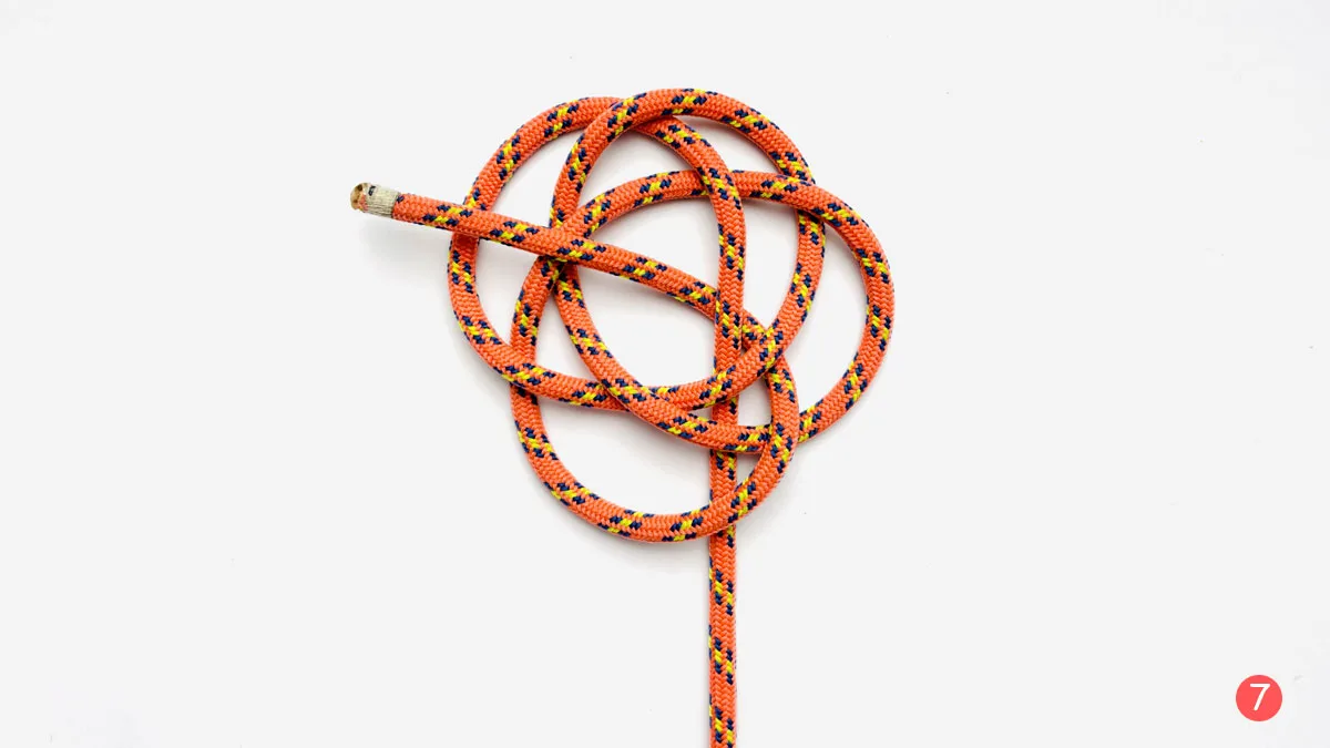 celtic-button-knot-step-7-how-to-tie-a-celtic-button-knot-knotspedia