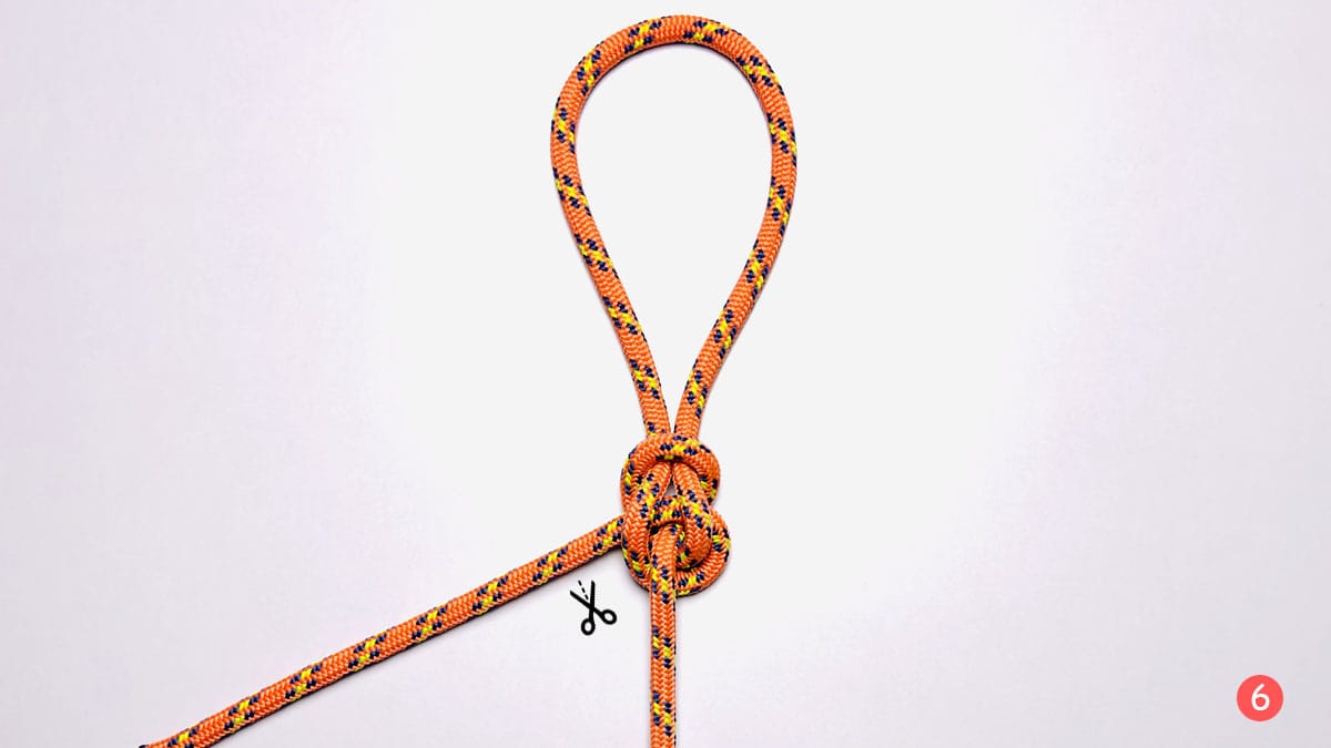 perfection-loop-step-6-how-to-tie-a-perfection-loop-knotspedia