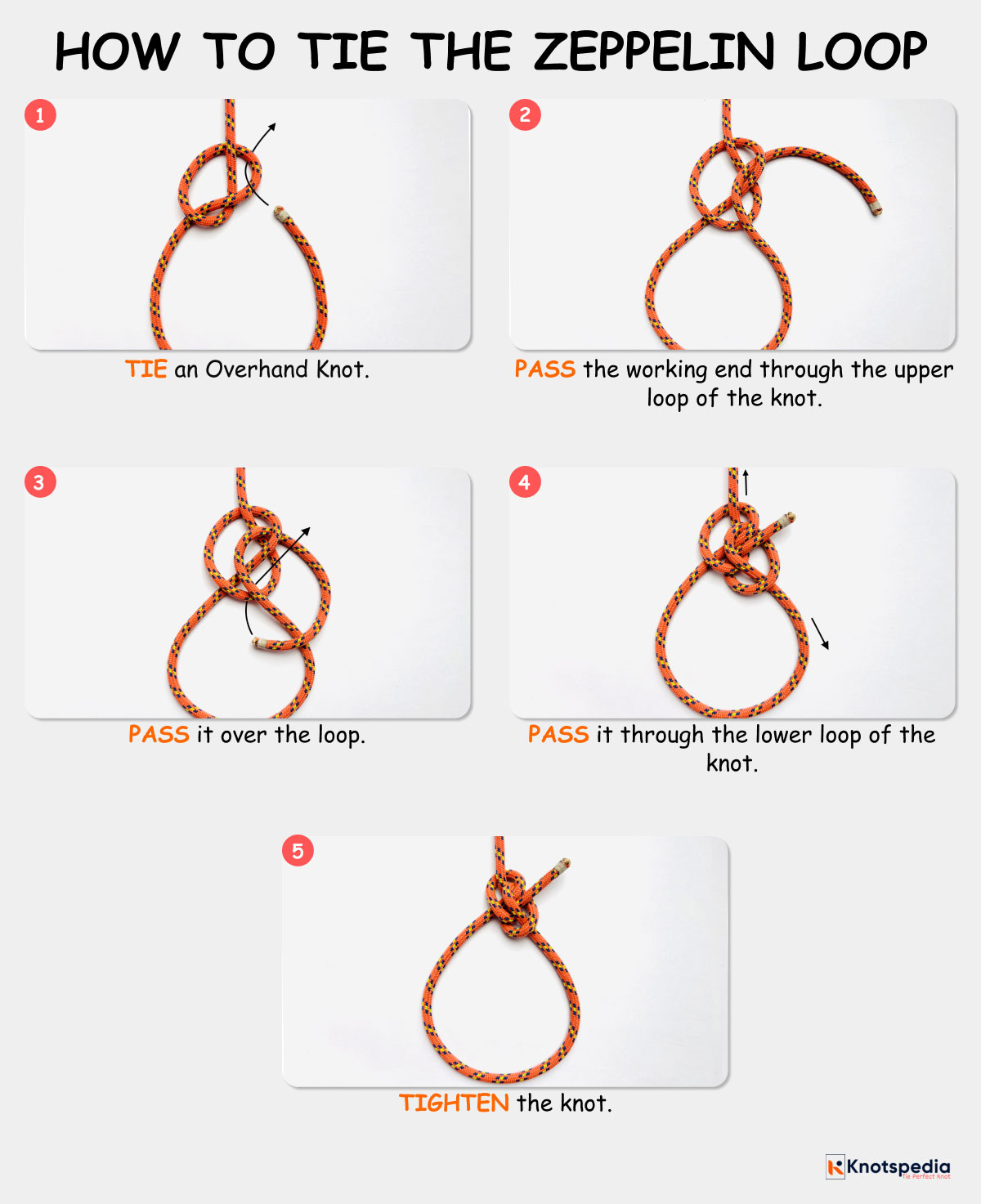 zeppelin-loop-diagram-how-to-tie-a-zeppelin-loop-knot-step-by-step-knotspedia