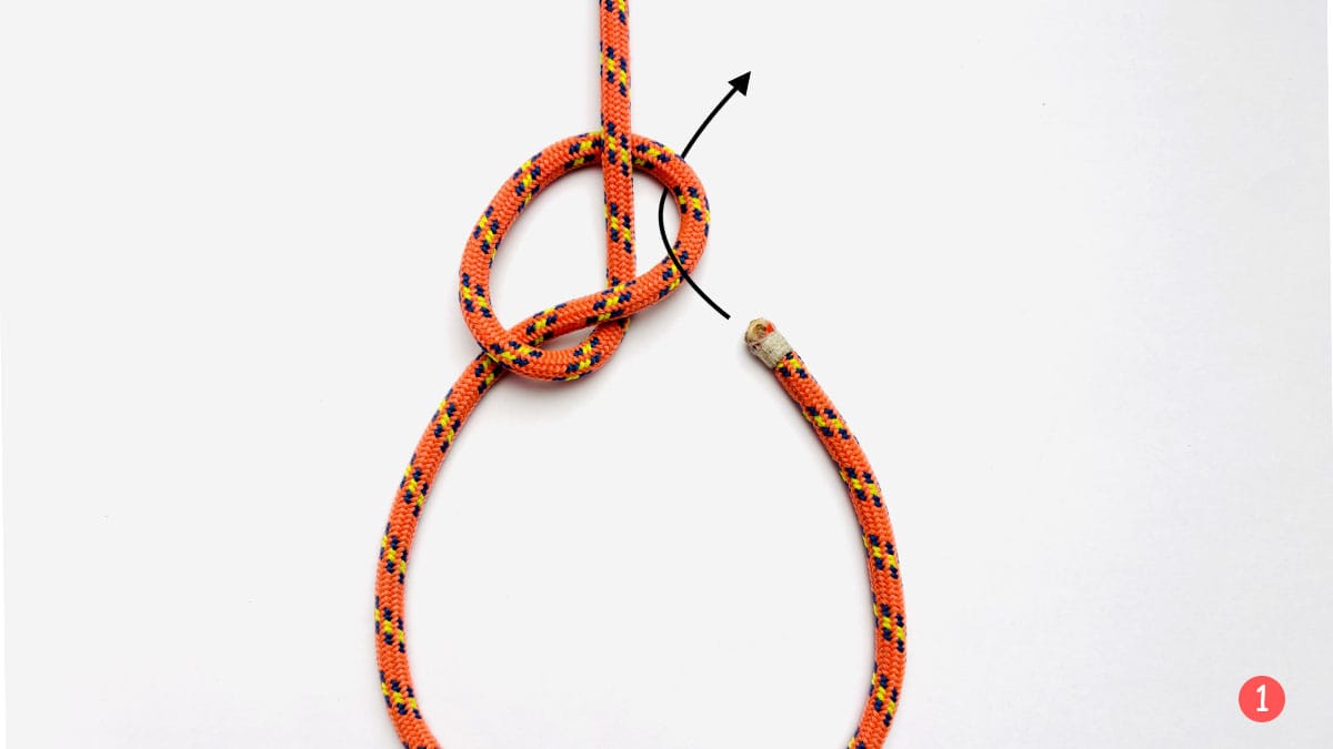 zeppelin-loop-step-1-how-to-tie-a-zeppelin-loop-knot-knotspedia