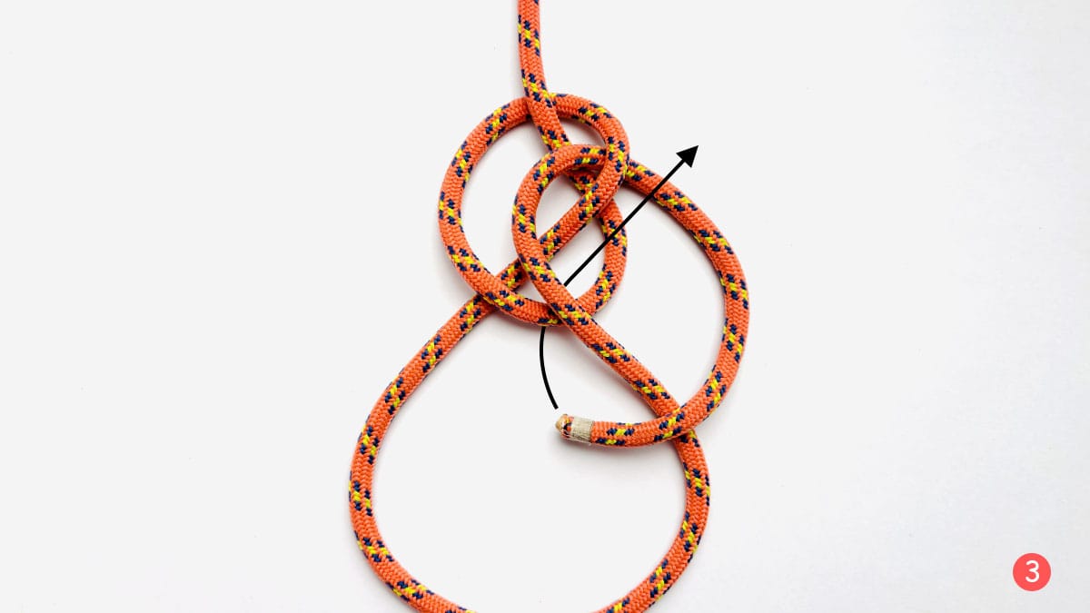 zeppelin-loop-step-3-how-to-tie-a-zeppelin-loop-knot-knotspedia