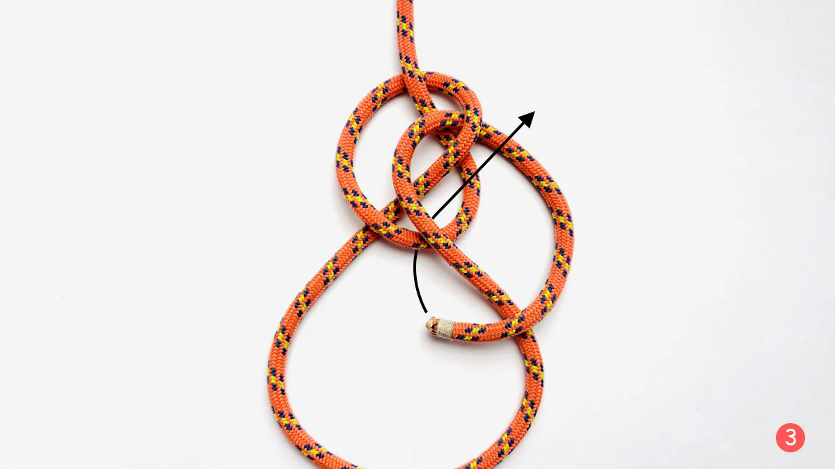 zeppelin-loop-step-3-how-to-tie-a-zeppelin-loop-knot-knotspedia