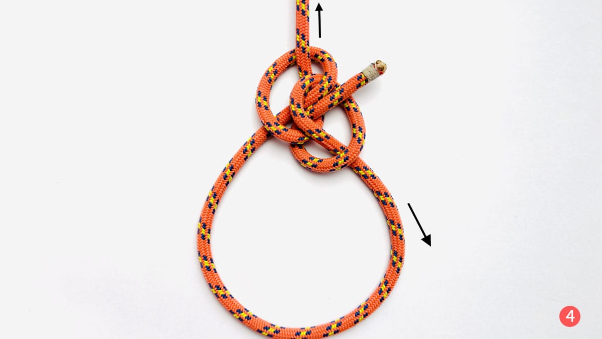 zeppelin-loop-step-4-how-to-tie-a-zeppelin-loop-knot-knotspedia