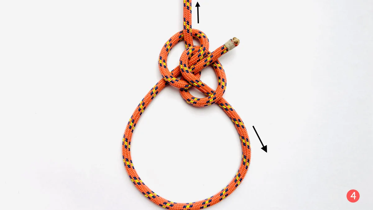 zeppelin-loop-step-4-how-to-tie-a-zeppelin-loop-knot-knotspedia